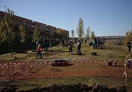 Plantación de árboles en una campaña anterior.