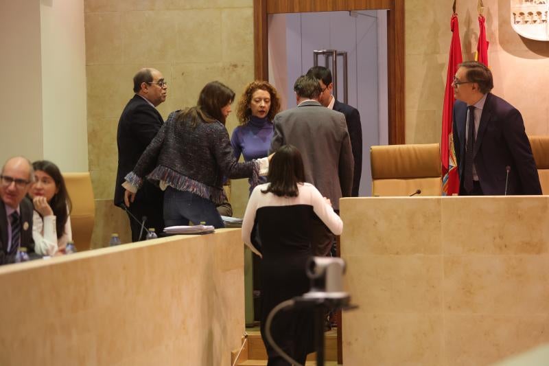 Un momento del pleno en el que se aprobó la comisión de investigación.
