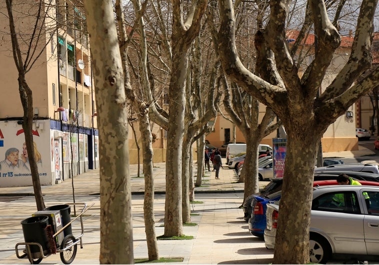 La asociación vecinal del barrio Vidal defiende que los árboles dan entidad al barrio.