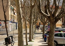 La asociación vecinal del barrio Vidal defiende que los árboles dan entidad al barrio.