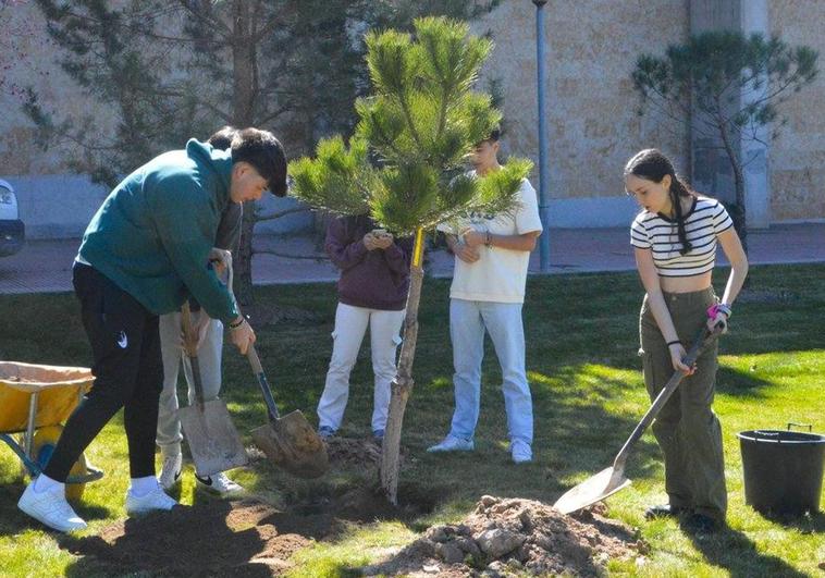Plantación de árboles en el campus Unamuno por el Día Internacional de los Bosques