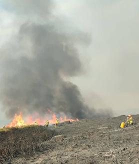 Imagen secundaria 2 - Helicópteros y bomberos combaten el incendio en Candelario que «todavía no está controlado»