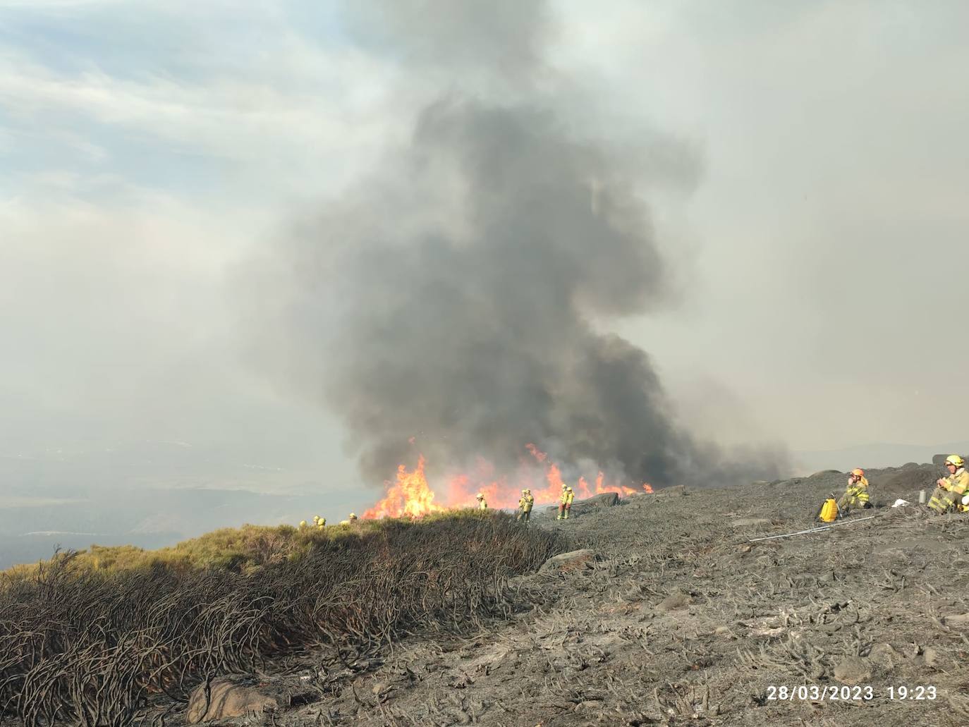 Un incendio forestal en Candelario, el primero del año
