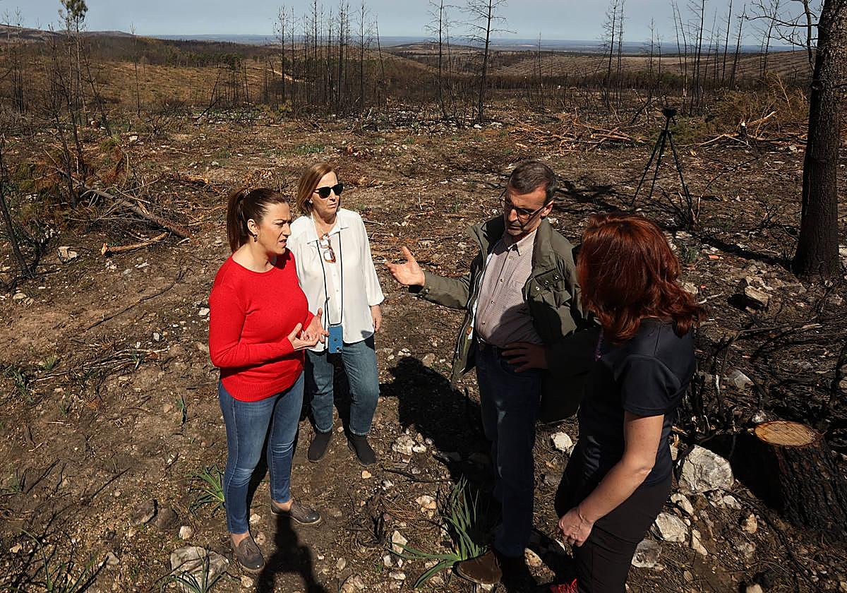Virginia Barcones, delegada del Gobierno en Castilla y León, en su visita a la zona afectada.