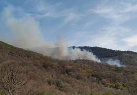 Un segundo incendio forestal castiga Salamanca en Puerto de Béjar