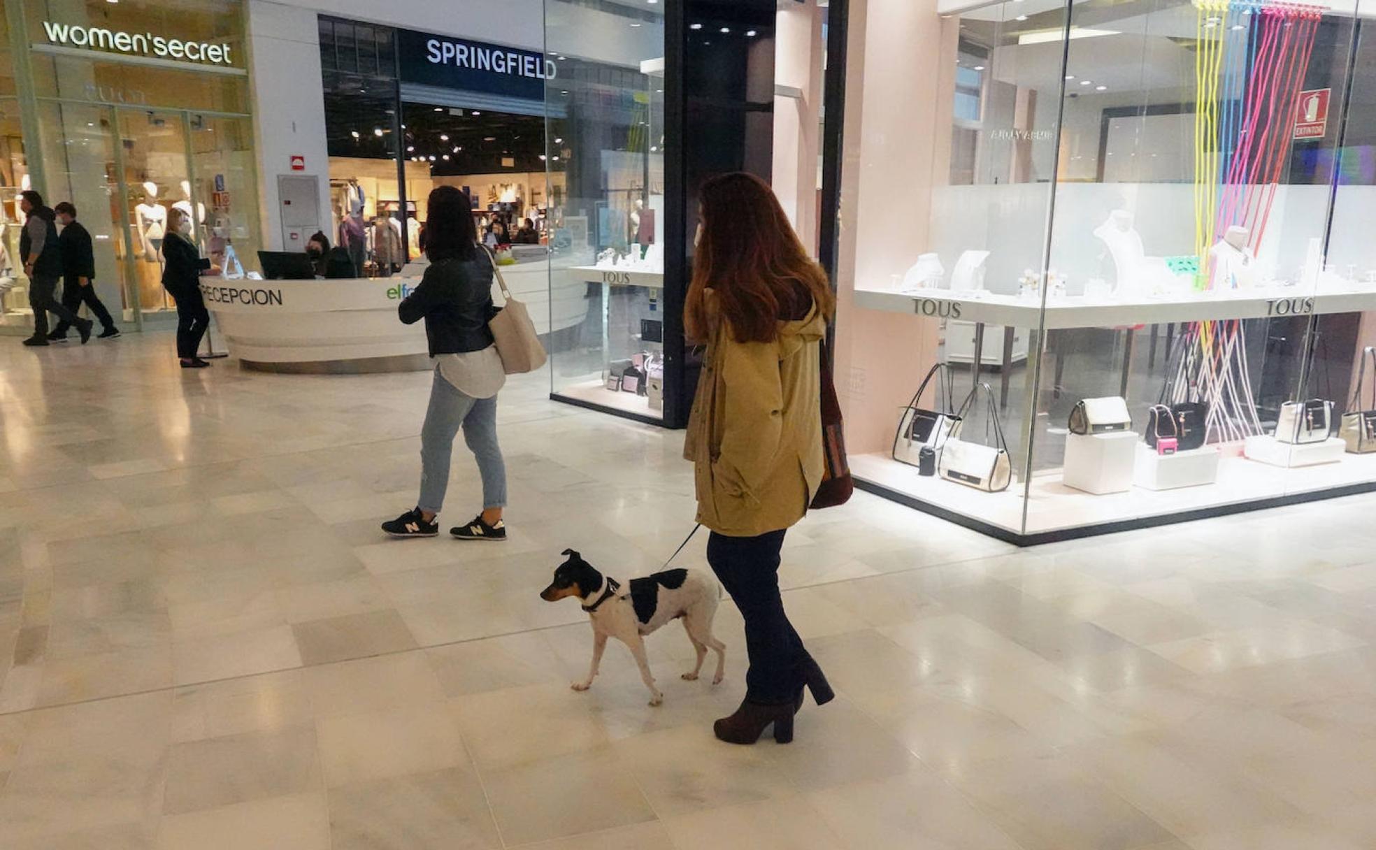 Compras con tu mascota