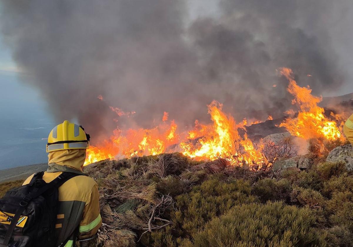 Imagen del reciente incendio de Candelario en Salamanca.