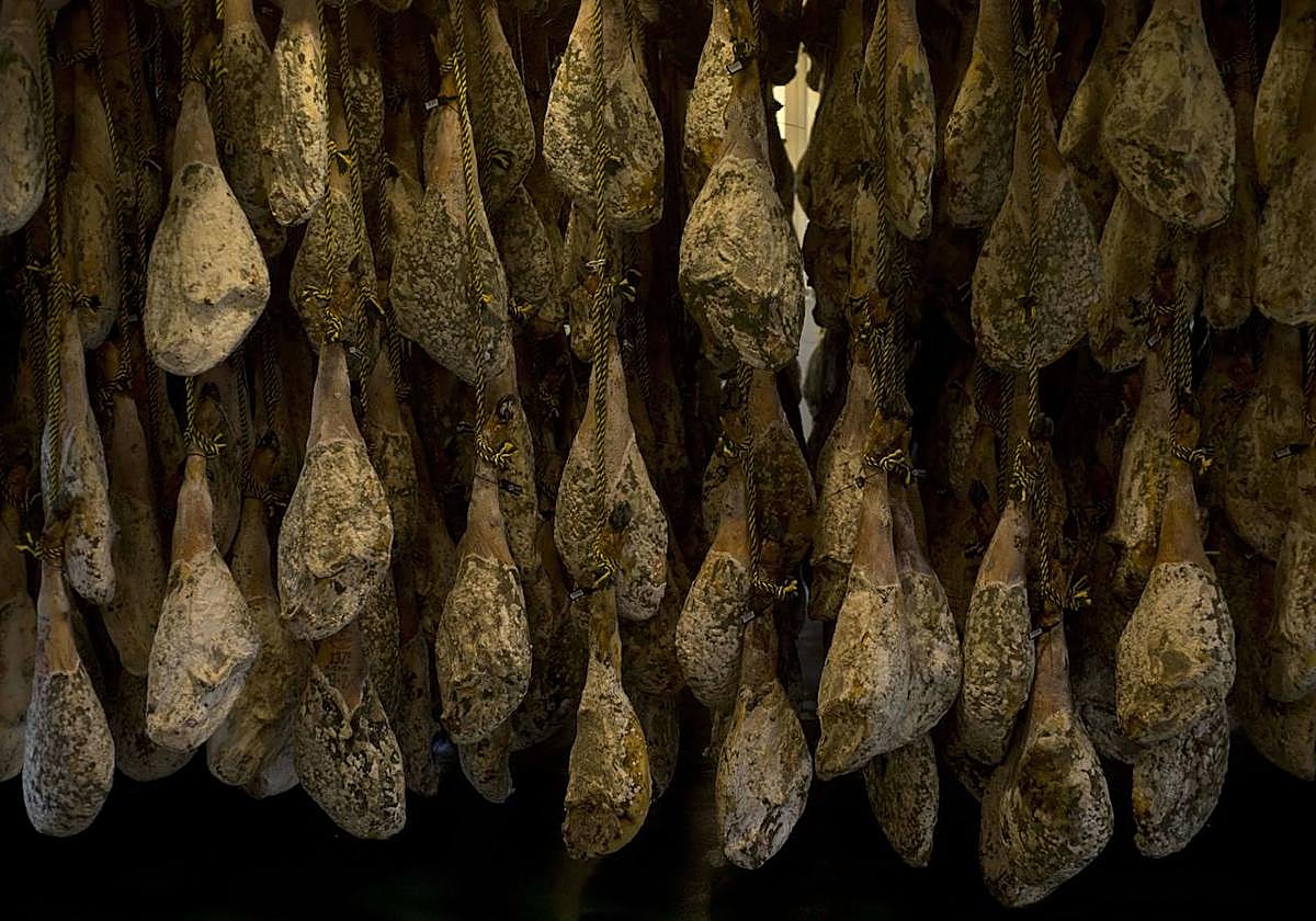Jamones ibéricos de Guijuelo secándose en las instalaciones de una empresa chacinera.