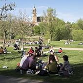 Lunes de aguas en Salamanca sin barbacoa, fuego ni petardos
