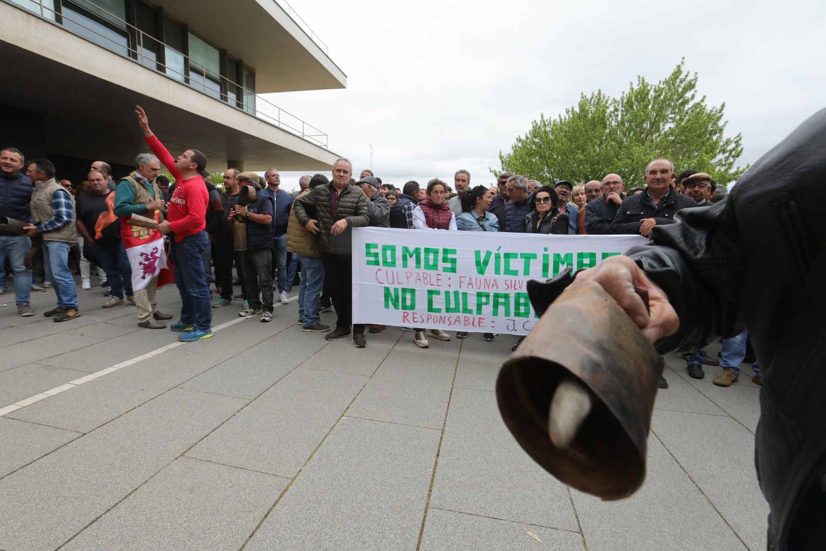 Manifestación de ganaderos frente a la sede de la Junta en Salamanca