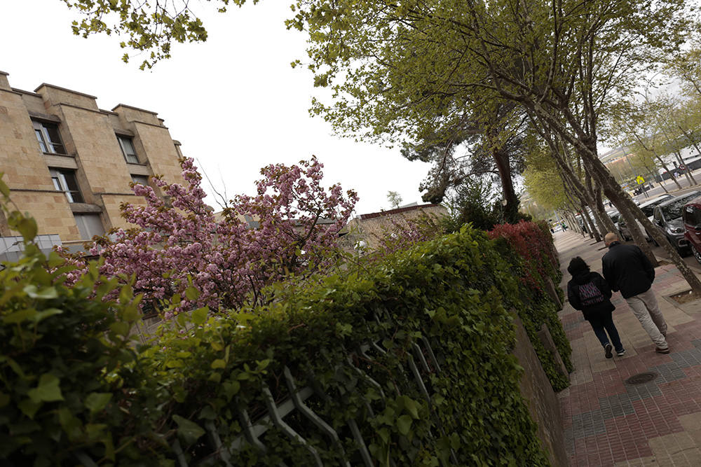 Otra mirada a Salamanca. San Vicente