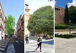 Simulaciones de calles afectadas por el proyecto Life.