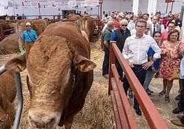 Nuñez Feijóo, durante su visita a Salamaq22.