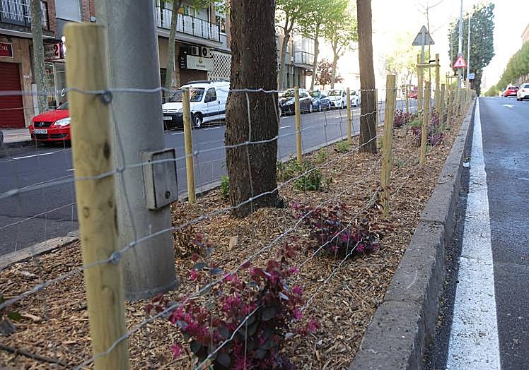 Imagen principal - El nuevo Alfonso IX: asfalto, pasos de peatones y mediana de estreno