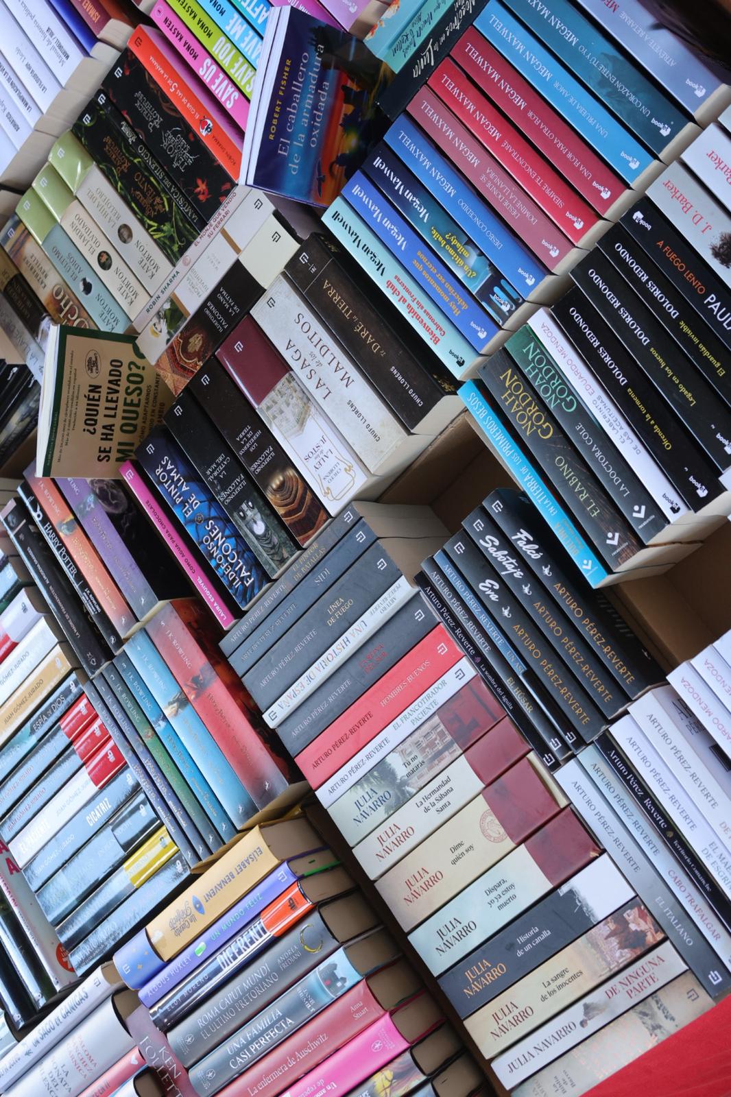 El Día del Libro llena la Plaza Mayor de Salamanca