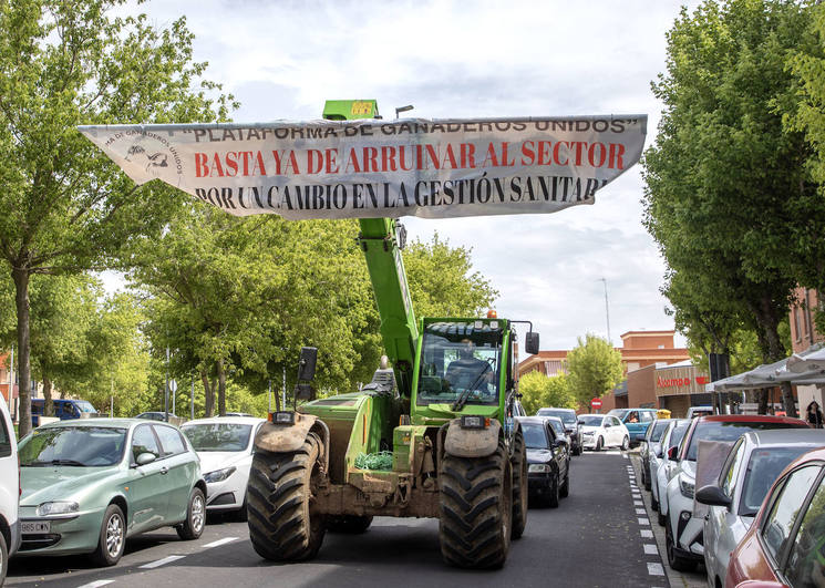 Los ganaderos se movilizan por las calles de Salamanca.