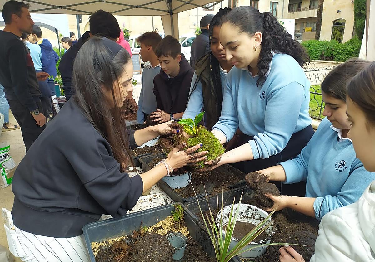Día Internacional de la Fascinación por las Plantas 2023 en Salamanca.