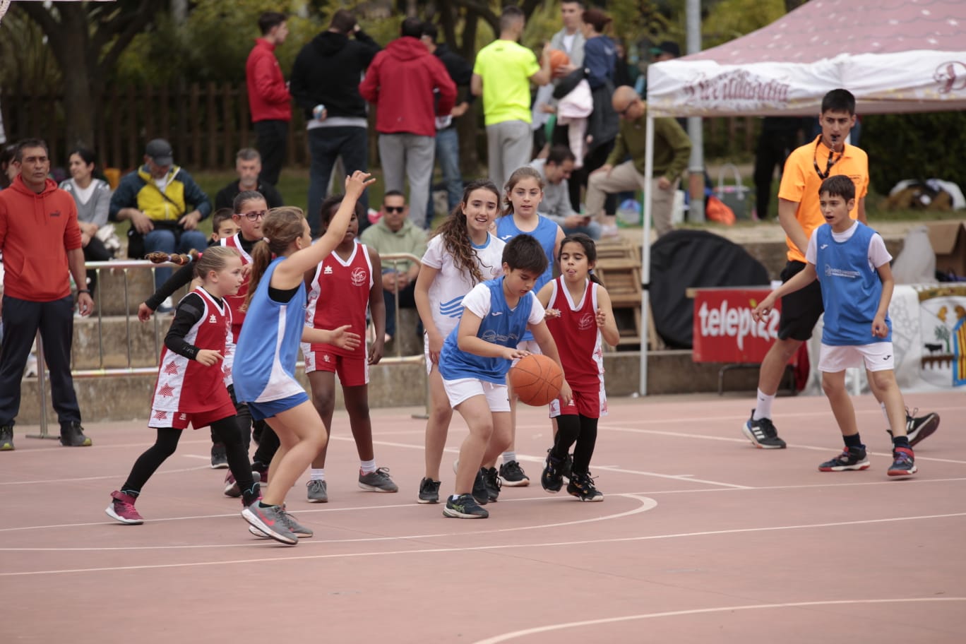 El Día del MiniBasket reúne a 800 chavales en Jesuitas