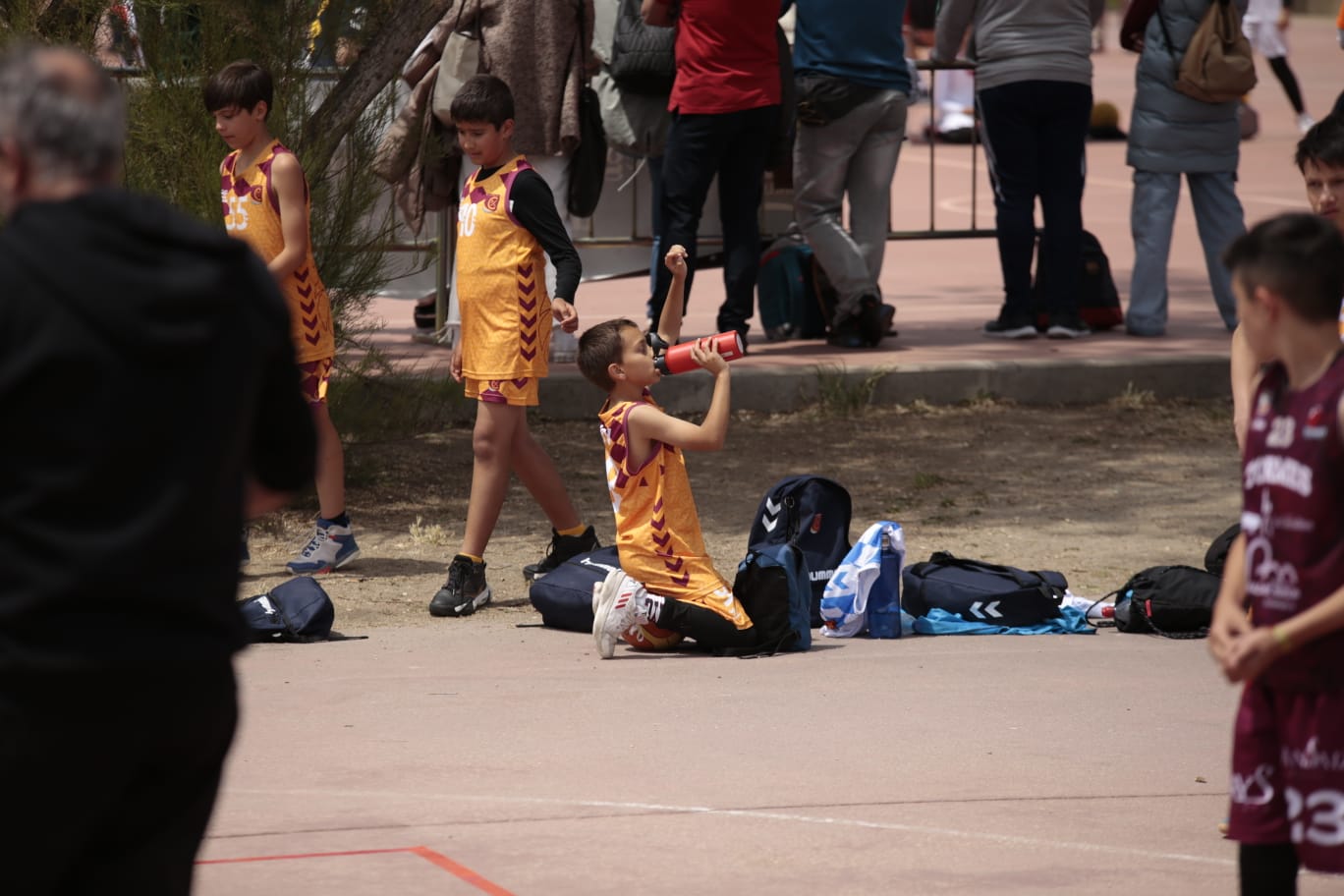 El Día del MiniBasket reúne a 800 chavales en Jesuitas