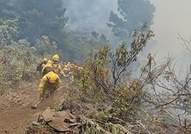 Agentes forestales en la zona del fuego.