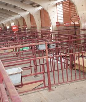 Imagen secundaria 2 - Los ganaderos conversan el mercado, Jacinto Sánchez, Juan Luis Delgado y Ramón Guarido, y la zona del ganado sin animales.