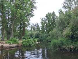 Orilla del Tormes cerca de La Aldehuela.