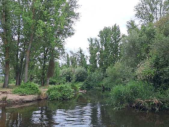 Orilla del Tormes cerca de La Aldehuela.