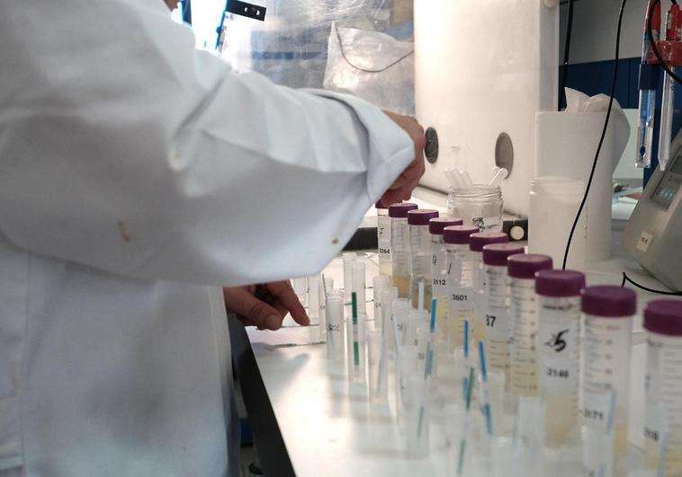 La Junta ofrece contratos de seis meses a premios Nobel para investigar en Castilla y León