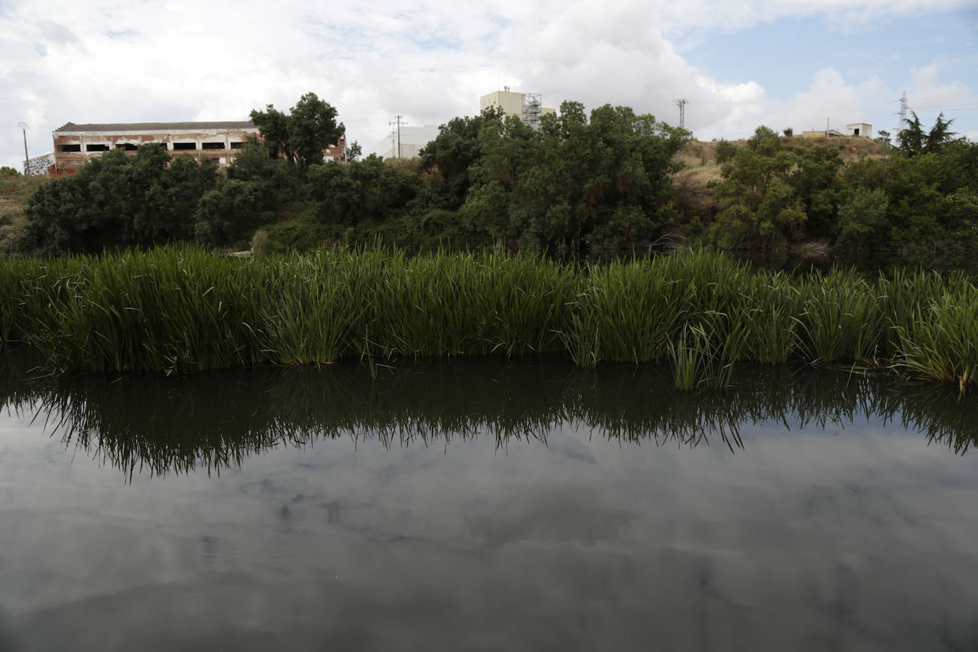 Recorrido por la ribera del río Tormes