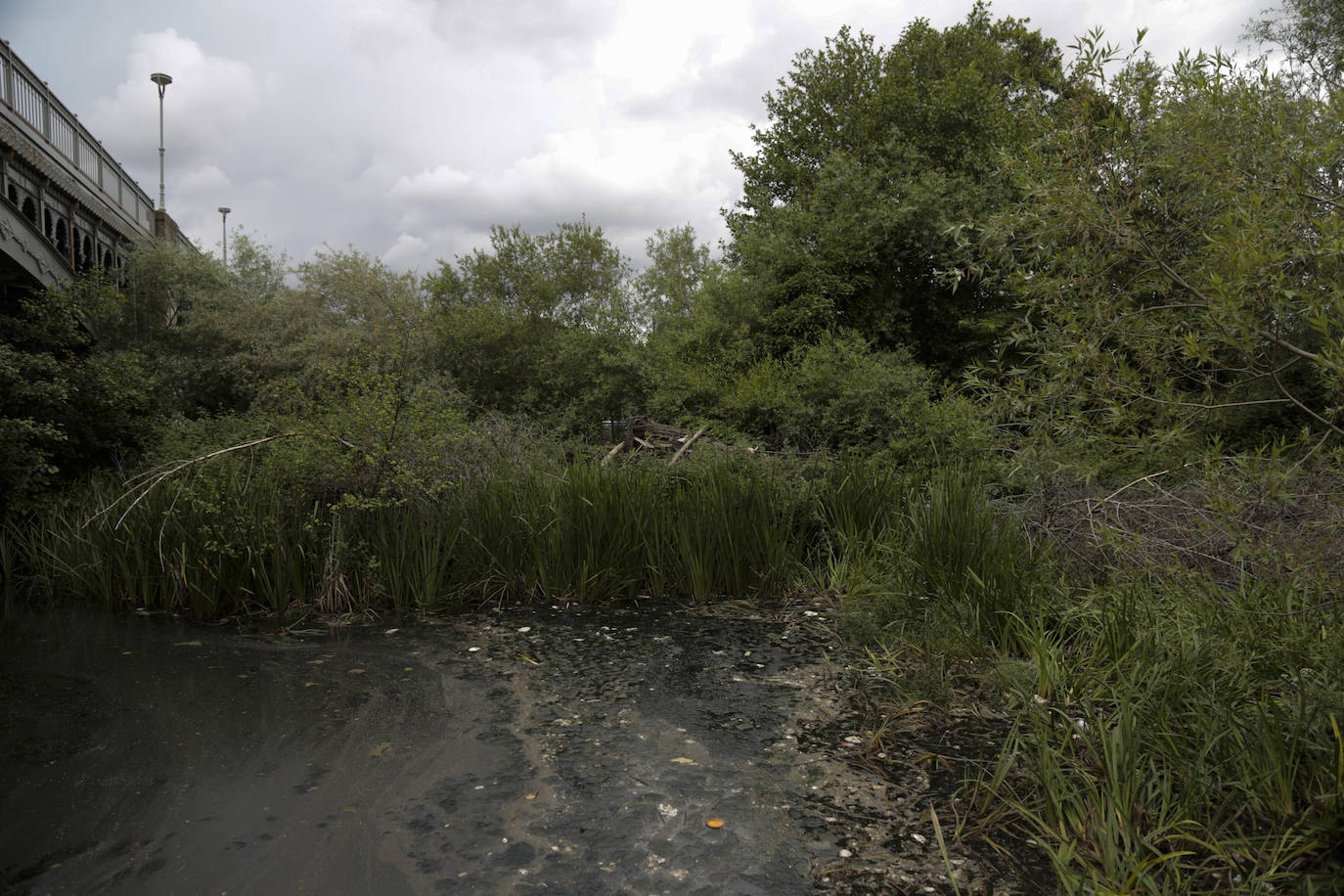 Recorrido por la ribera del río Tormes