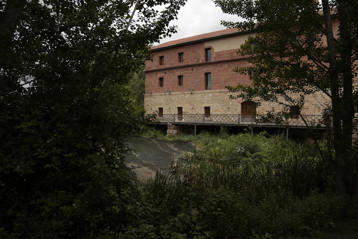 Recorrido por la ribera del río Tormes