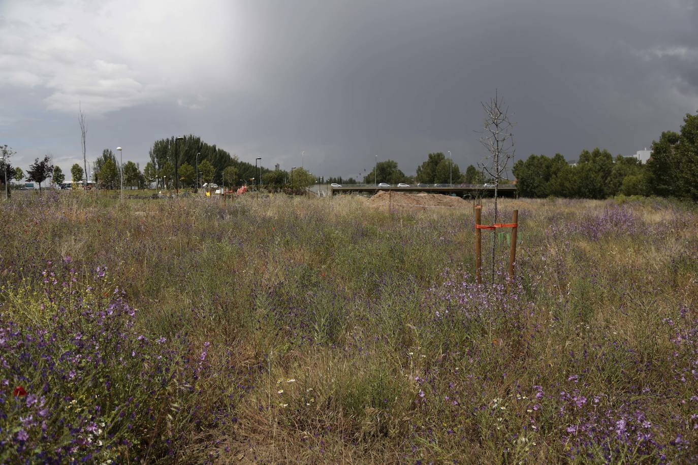 Recorrido por la ribera del río Tormes