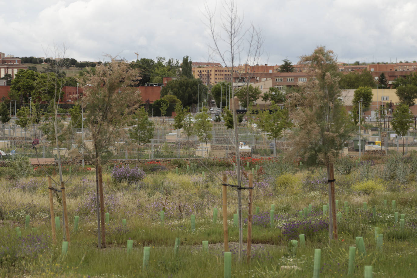 Recorrido por la ribera del río Tormes
