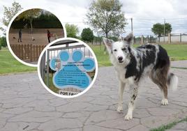 32 parques caninos para casi 15.000 perros censados en Salamanca