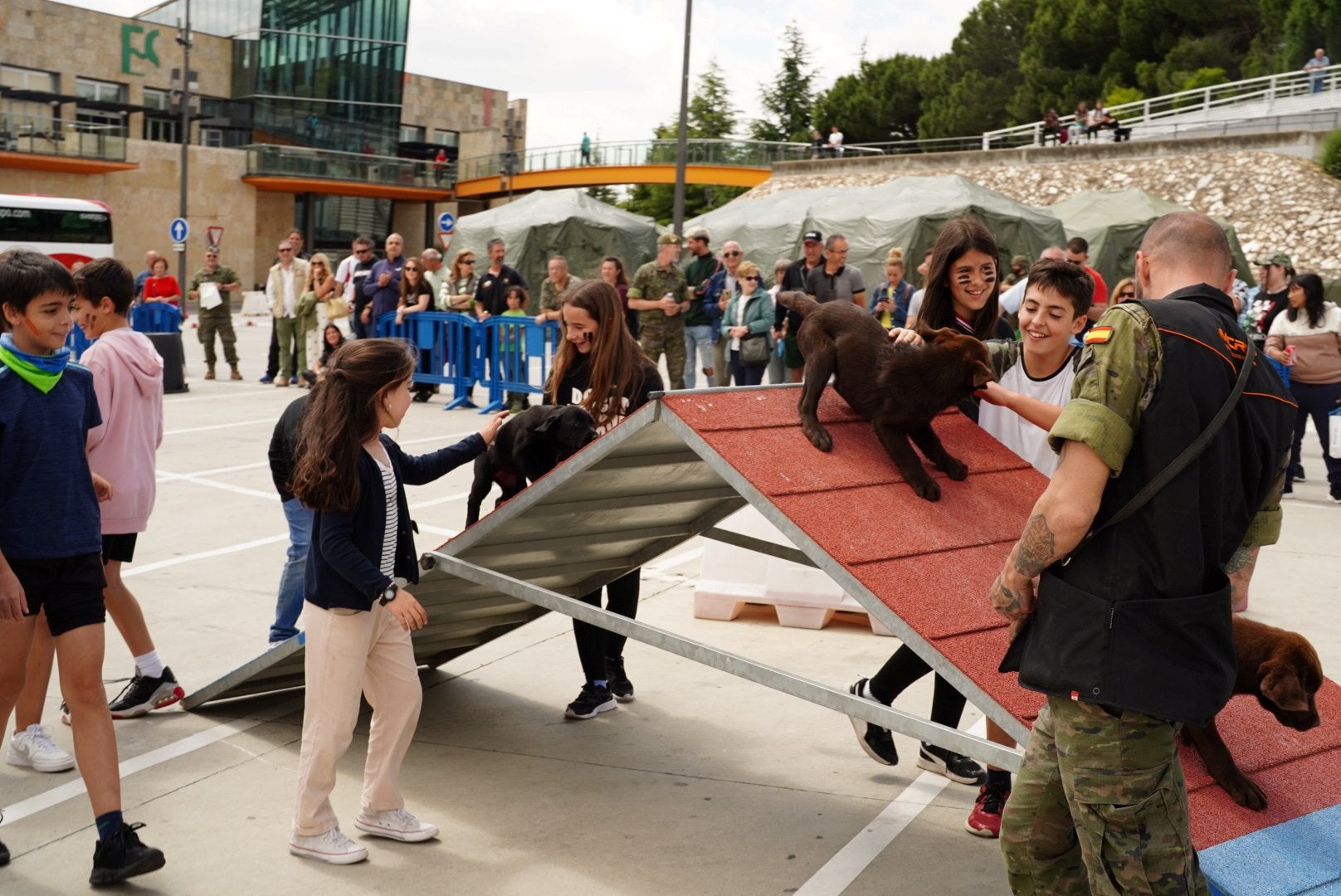 Imagen principal - Los salmantinos disfrutan del Día de las Fuerzas Armadas en El Tormes