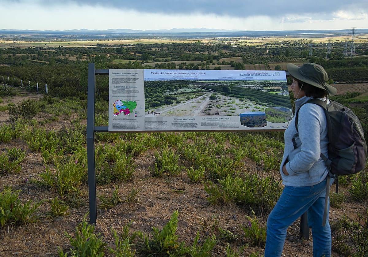Una turista observa el panel informativo del nuevo sendero.