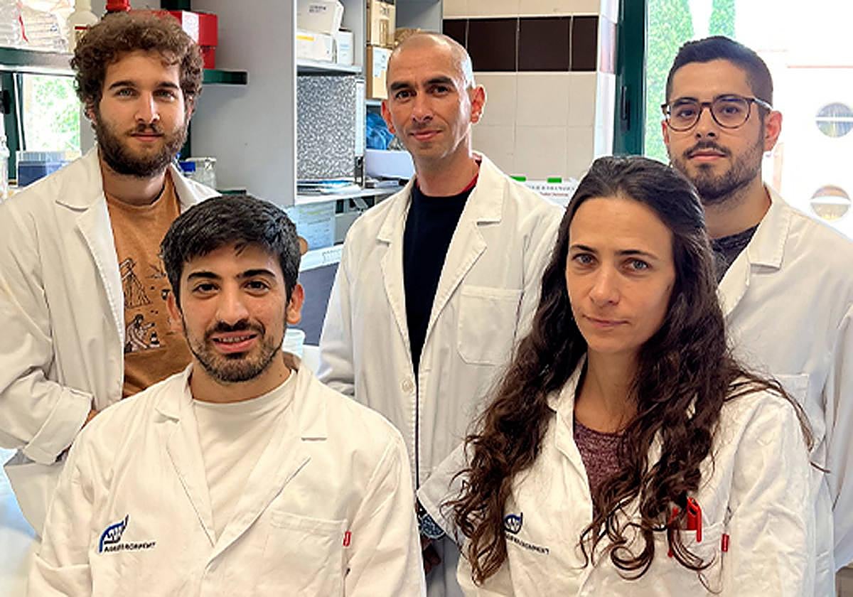 Investigadores del área de Microbiología de la Universidad de Salamanca.