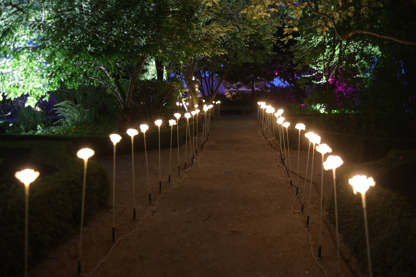 Tercera jornada del Fàcyl en Salamanca