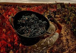 Fotografía titulada 'Con el capazo'.