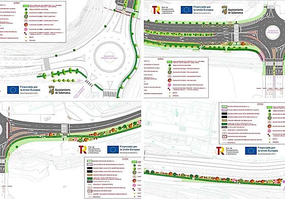 Adjudicado con una reducción del 18,67% el nuevo carril bici del Paseo de San Vicente al Puente Romano