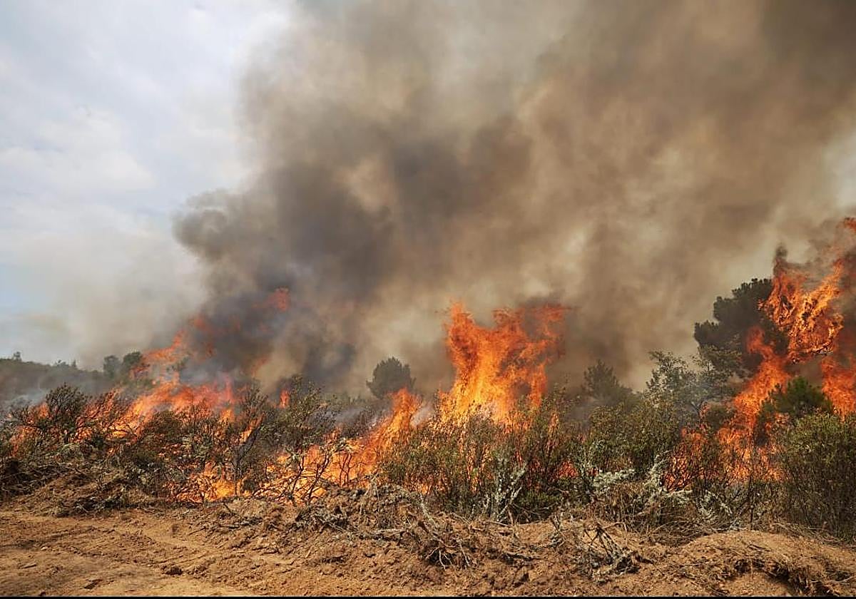 Imagen de archivo de un incendio.