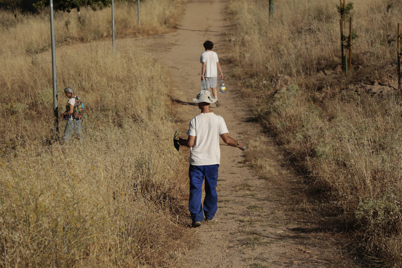 Al rescate de los árboles de El Zurguén