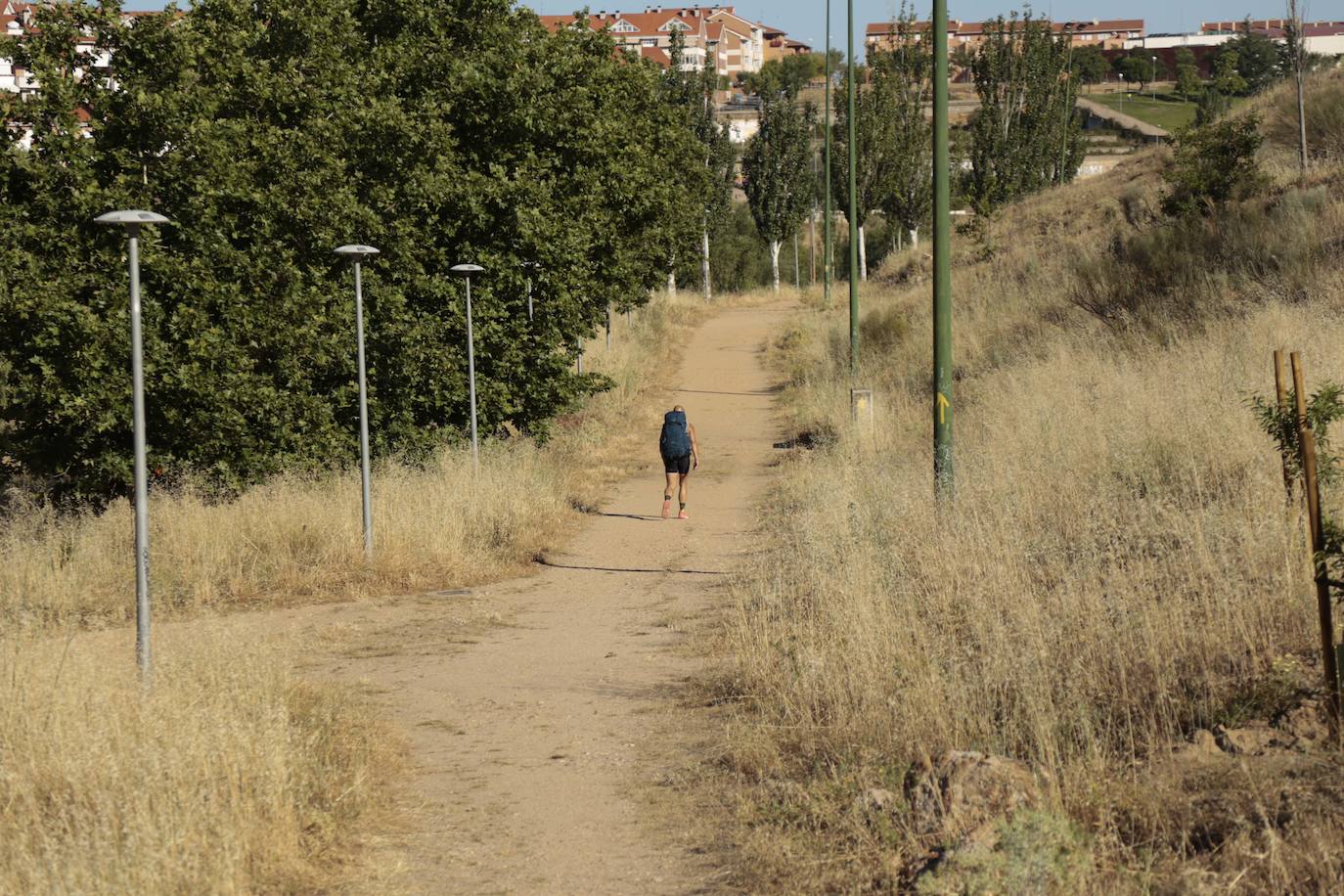 Al rescate de los árboles de El Zurguén