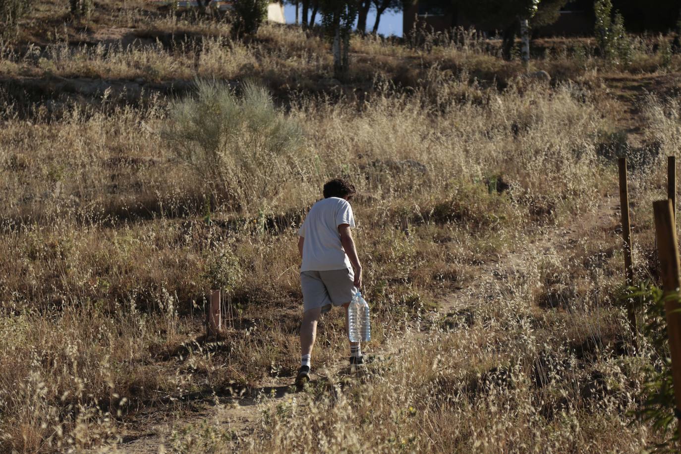 Al rescate de los árboles de El Zurguén