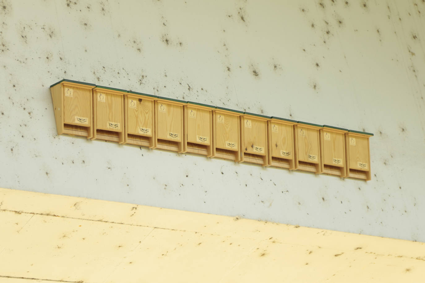 Huerta Otea, un parque con mucha vida y grandes inversiones