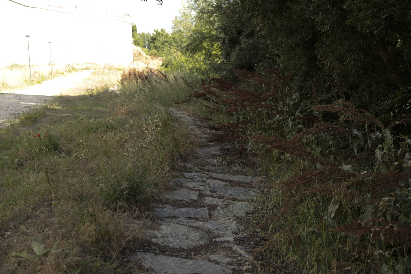 Huerta Otea, un parque con mucha vida y grandes inversiones