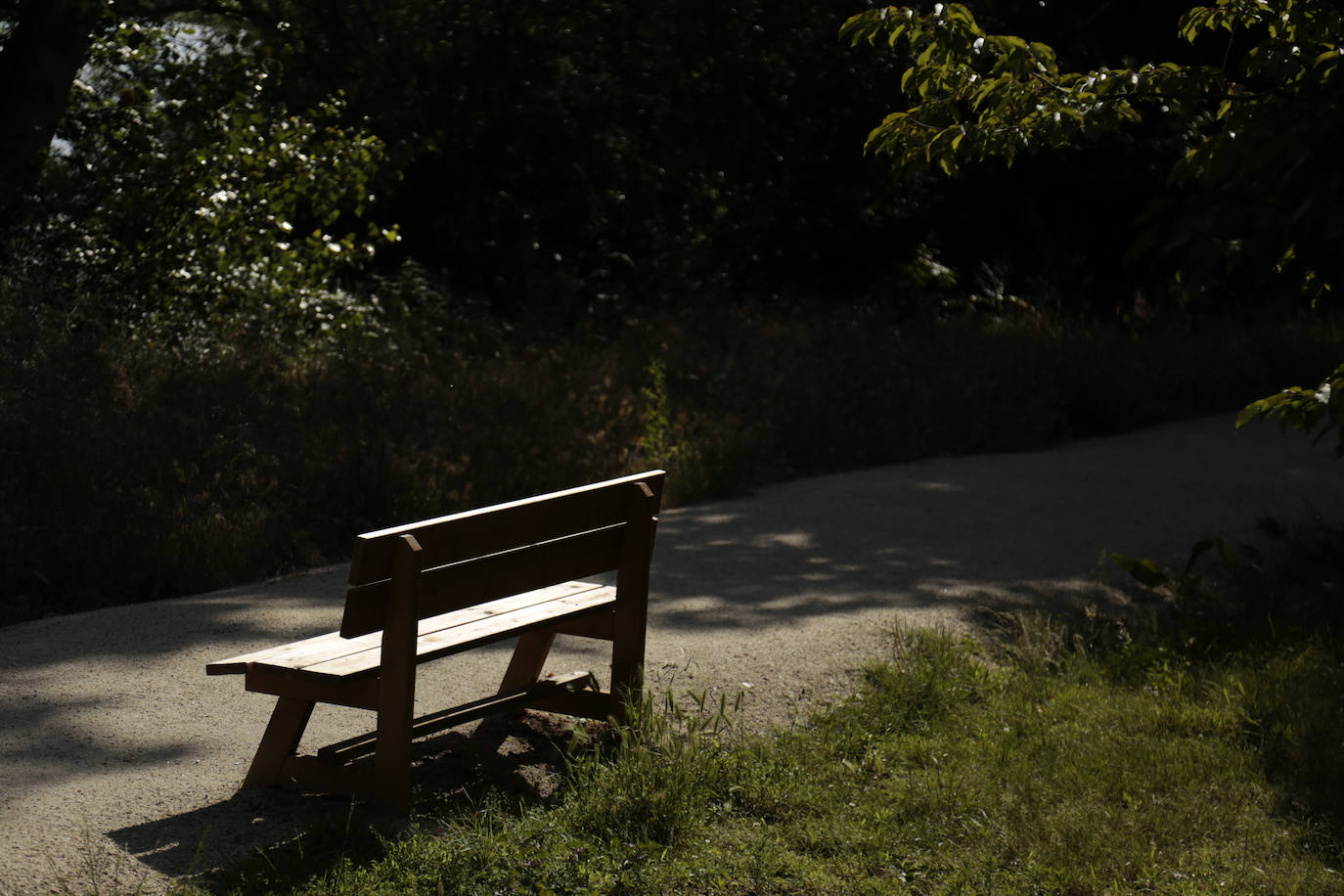 Huerta Otea, un parque con mucha vida y grandes inversiones