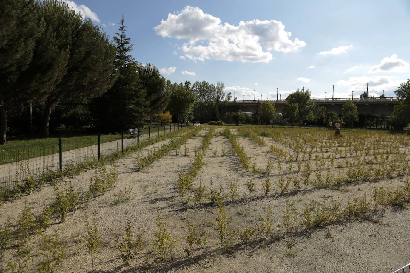 Huerta Otea, un parque con mucha vida y grandes inversiones