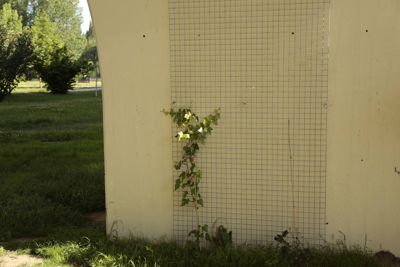 Huerta Otea, un parque con mucha vida y grandes inversiones