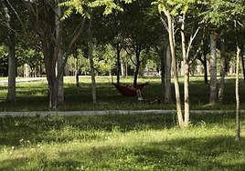 Huerta Otea, un parque con mucha vida y grandes inversiones